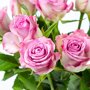 Brievenbus Rozen paars detail